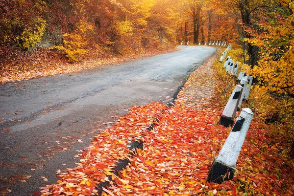 Straße im Herbstholz. — Stockfoto