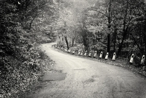 Silnice v podzimním lese. — Stock fotografie
