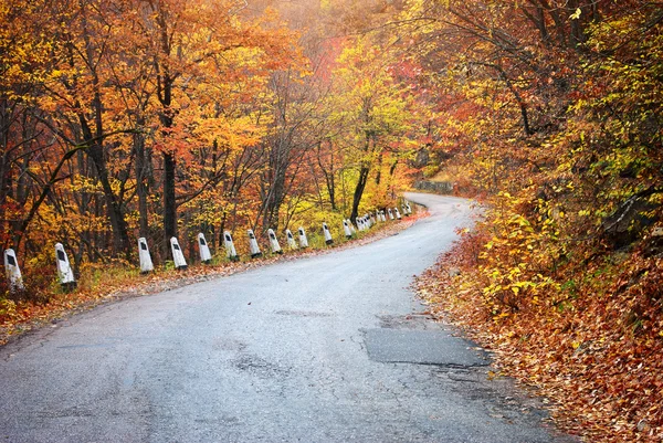 Silnice v podzimním lese. — Stock fotografie