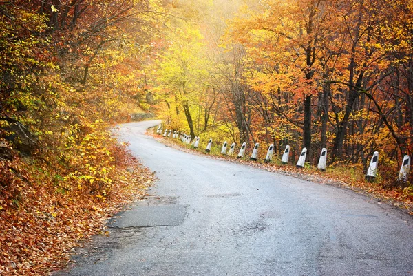 Straße im Herbstholz. — Stockfoto
