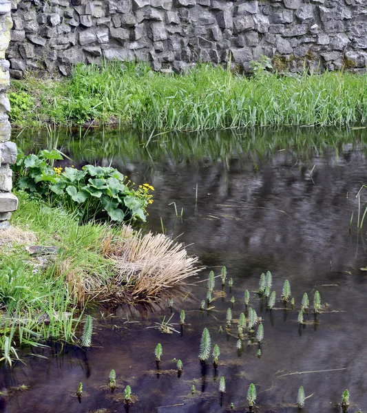 Trim castle wall and moat. — Stock Photo, Image