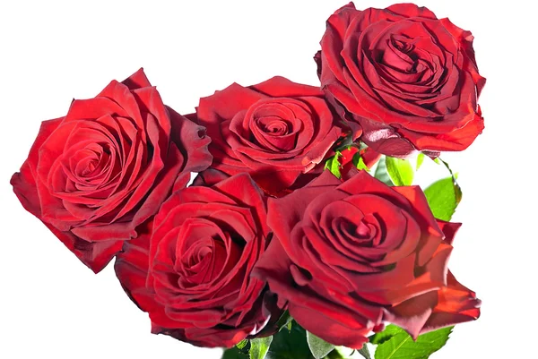 Букетные розы — стоковое фото