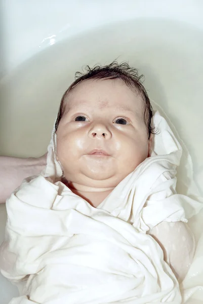 Новорожденные — стоковое фото