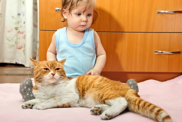 Мальчик и кот — стоковое фото