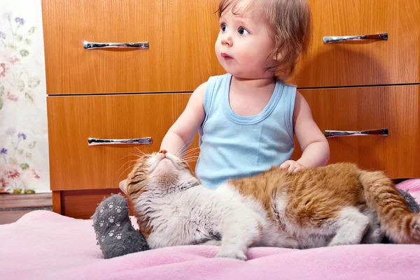 Boy and cat — Stock Photo, Image