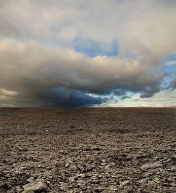 Potato field before rain under blue sky landscape clipart