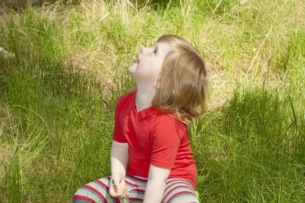 一个小姑娘坐在草地上 — 图库照片