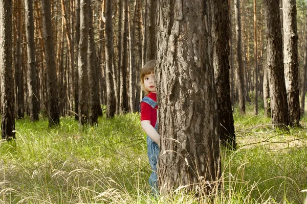 一个小女孩从树后面偷窥 — 图库照片