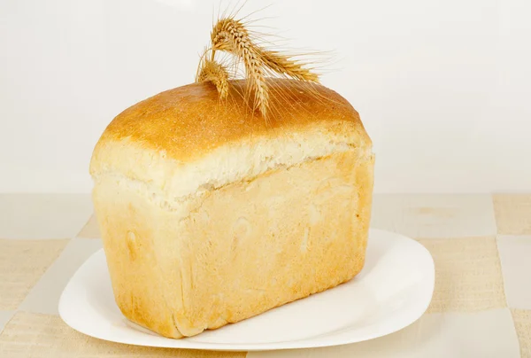 Bröd bakplåt hem — Stockfoto