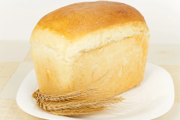 Chléb domácí pečicí plech — Stock fotografie