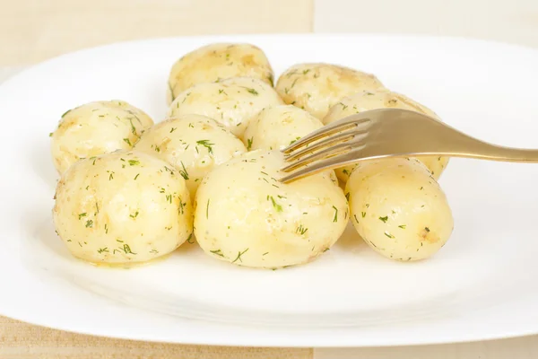 Erken patates pişmiş — Stok fotoğraf