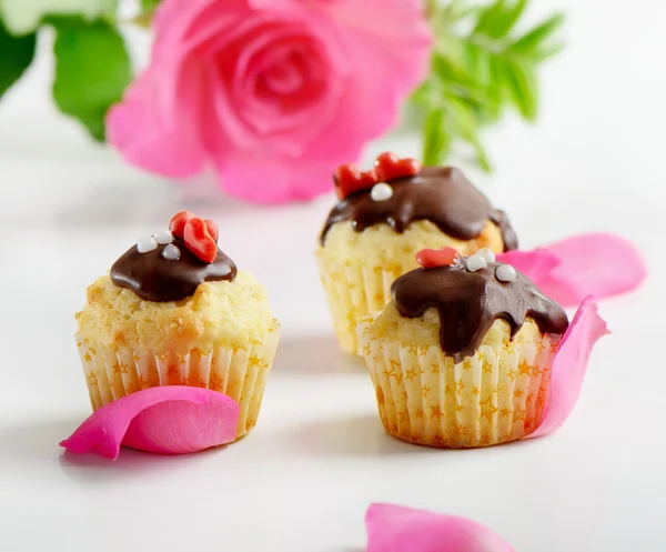 Muffins with flower — Stock Photo, Image