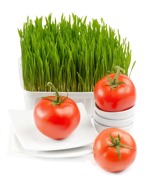 Healthy food - fresh tomato and Germinated Wheat seeds on the wh — Stock Photo, Image