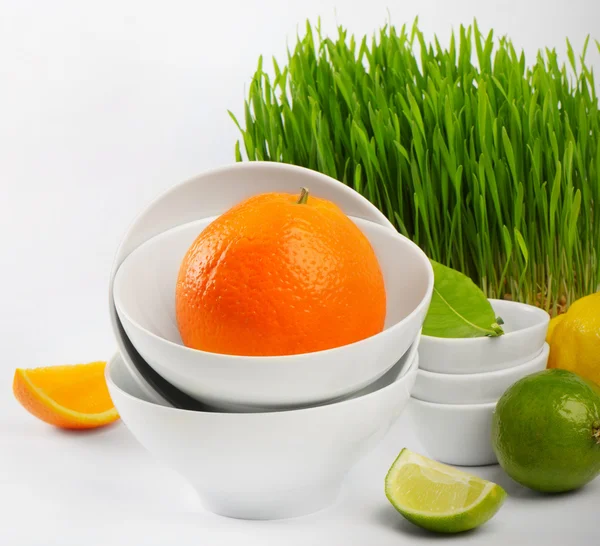 Healthy food - fresh citrus and Germinated Wheat seeds — Stock Photo, Image