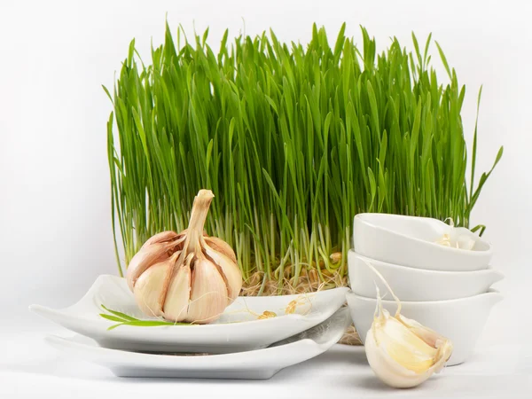 Healthy food - garlic and Germinated Wheat seeds — Stock Photo, Image