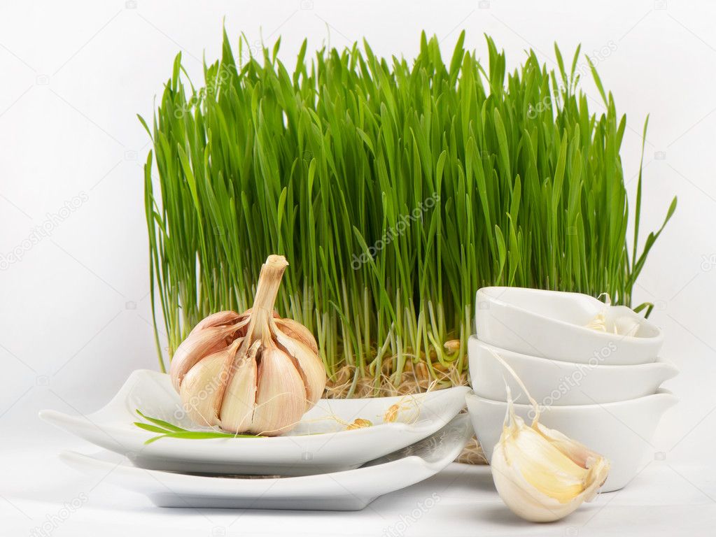 Healthy food - garlic and Germinated Wheat seeds