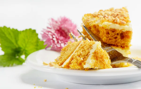 stock image Traditional Honey Cake on Plate