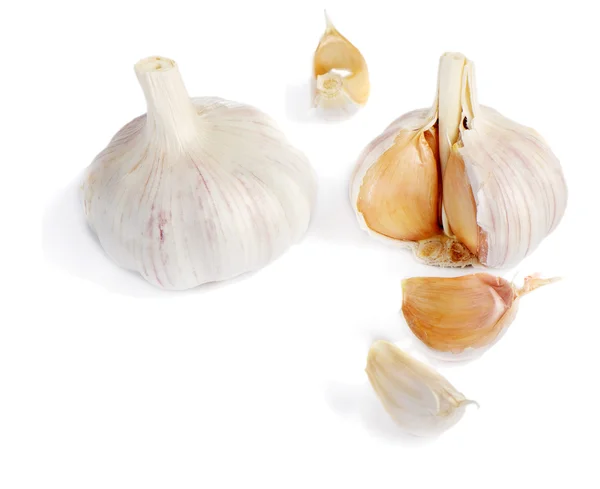 stock image Garlic