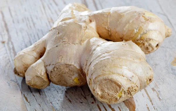 Ginger — Stock Photo, Image