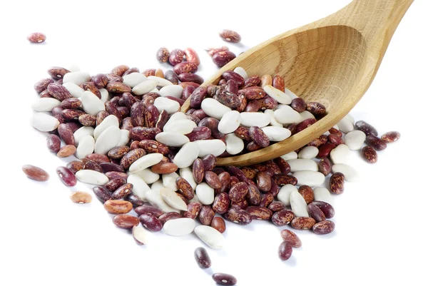 Beans isolated on white — Stock Photo, Image