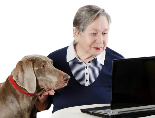 Senior woman with dog working on a laptop — Stock Photo, Image