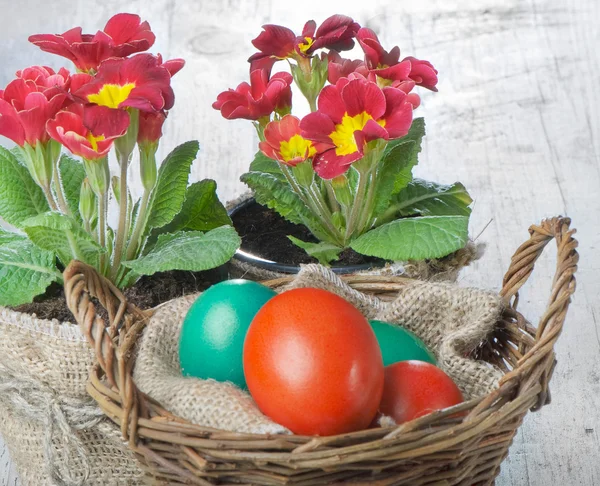 Ovos de Páscoa coloridos na cesta — Fotografia de Stock