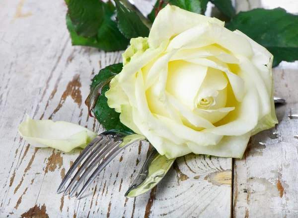 Романтична вечеря з білою трояндою та пелюстками — стокове фото