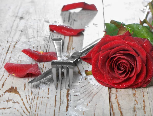 Romantisch diner instelling met rode roos en bloemblaadjes — Stockfoto