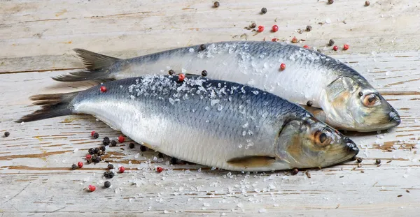 Two herrings — Stock Photo, Image