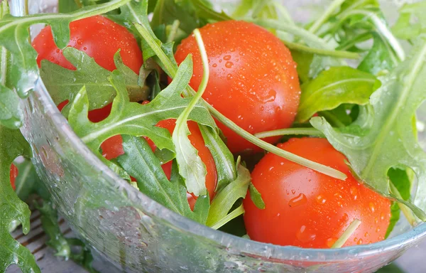 stock image Fresh tomatoes and salad