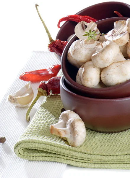 버섯과 향신료 — 스톡 사진