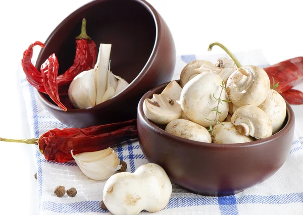 버섯과 향신료 — 스톡 사진