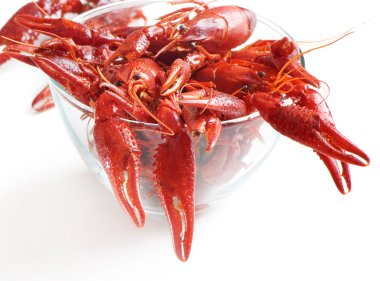 Boiled crawfish on white background clipart