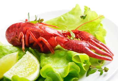 Boiled crawfish with lime and fresh salad clipart