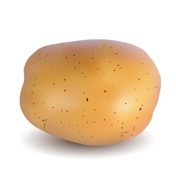 Patatas — Vector de stock