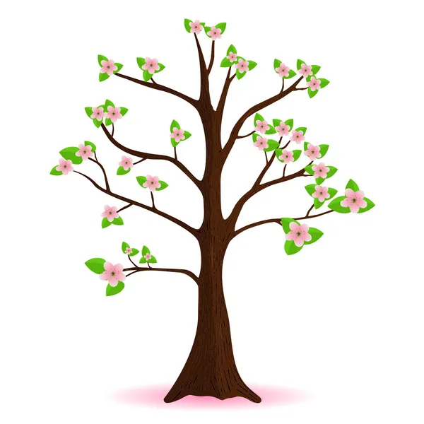 Kirschblüte, blühender Frühlingsbaum, Vektor — Stockvektor
