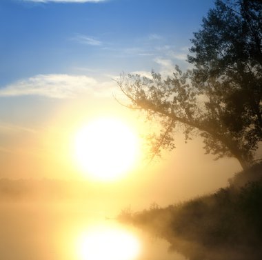 Beautiful fog sunrise on river clipart