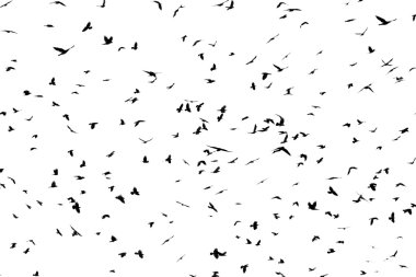 Large flock of crows clipart