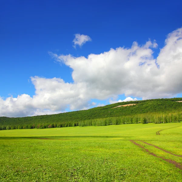 Paysage d'été avec route — Photo