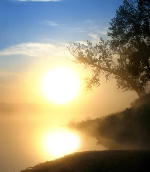 Beautiful fog sunrise on river — Stock Photo, Image