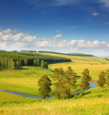 Hills summer landscape clipart