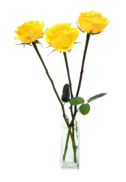 Bouquet of yellow roses — Stock Photo, Image