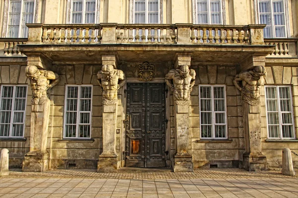 박물관의 바르샤바 대학 — 스톡 사진