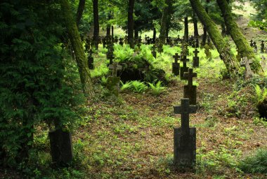 Old graveyard in Khust, Ukraine clipart