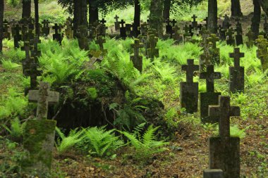 Old Graveyard In Khust, Ukraine clipart