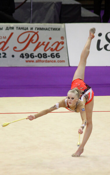 Кубок мира по художественной гимнастике
