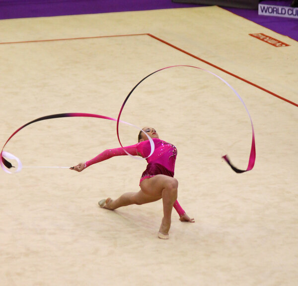 Кубок мира по художественной гимнастике
