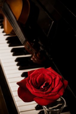 Piano keyboard and rose clipart