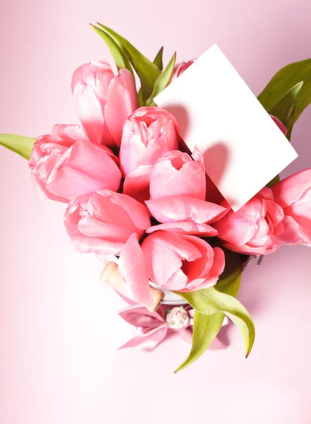 Rózsaszín tulipán — Stock Fotó