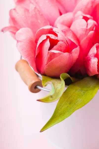 Rosa Tulpen — Stockfoto